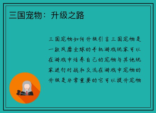 三国宠物：升级之路